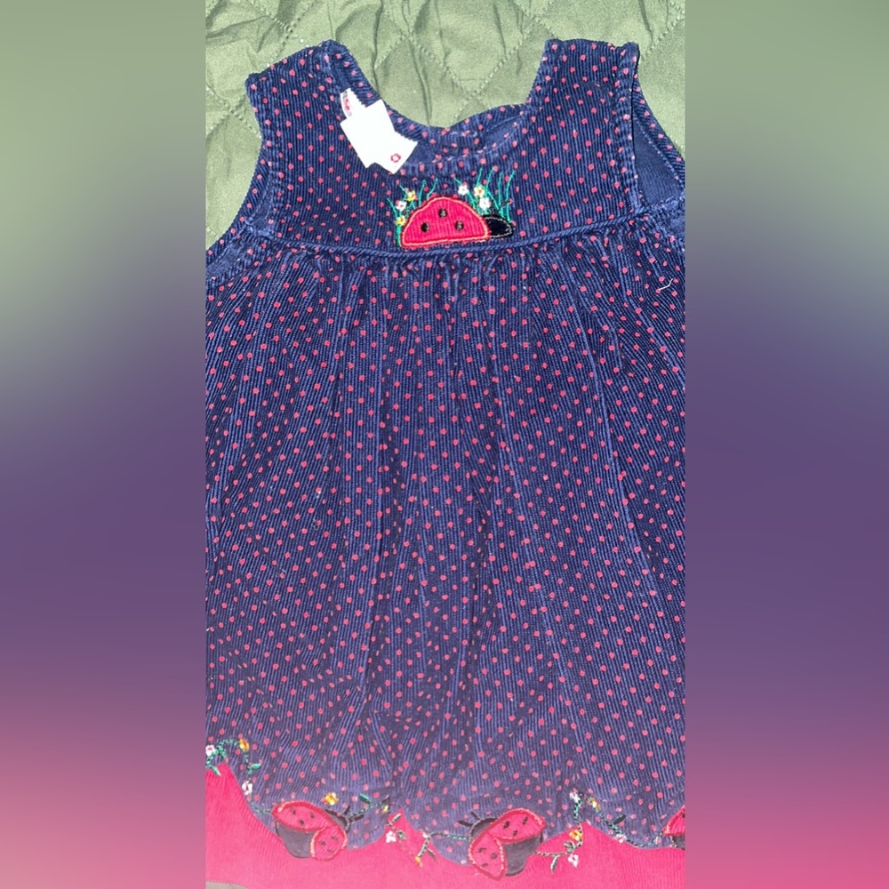 Baby girl lady bug dress